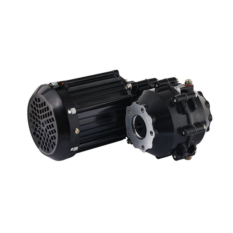 ZD014C Elderly Recreational Vehicle Tricycle Motors